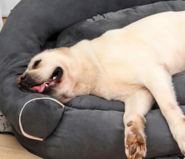 Deep Sleeper Bolster Dog Bed — Cotton-Filled with Padded Sides, Machine Washable