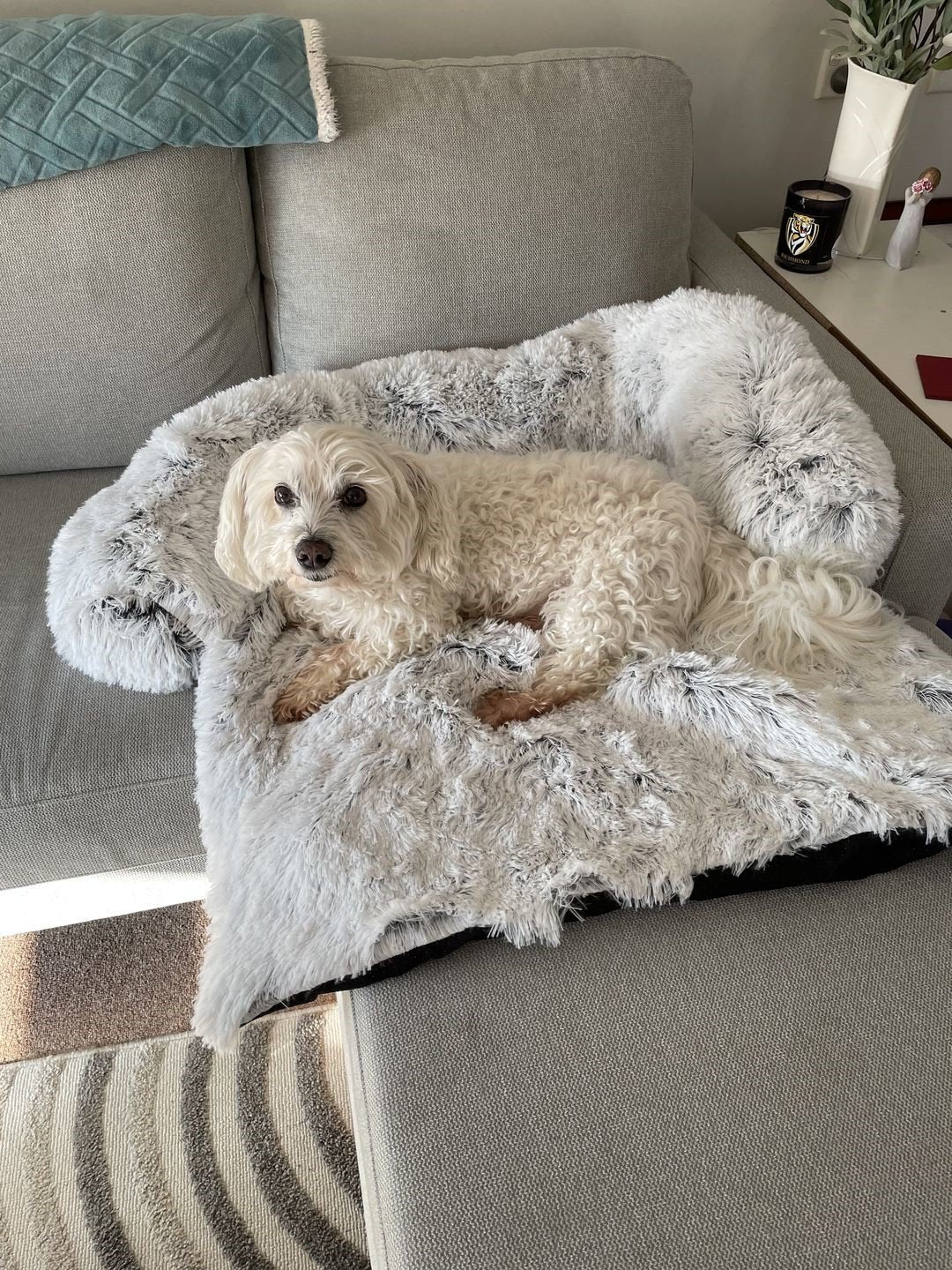 PupCouch Bolster Dog Bed — Plush Faux Fur with Built-In Cushion, Machine Washable Cover