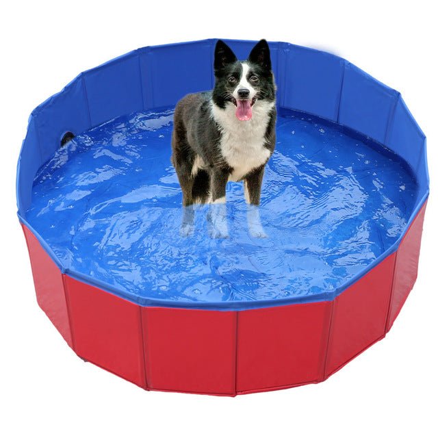 Collapsible Dog Pool — Foldable Outdoor Pet Swimming Pool & Bath Tub