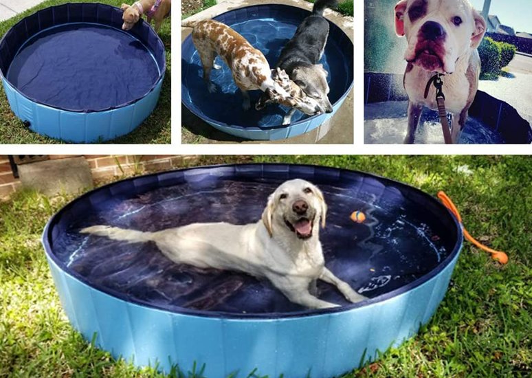 Collapsible Dog Pool — Foldable Outdoor Pet Swimming Pool & Bath Tub