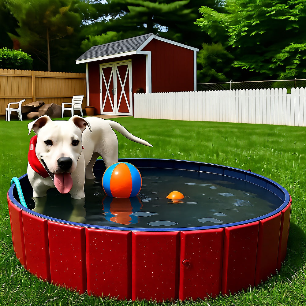 Collapsible Dog Pool — Foldable Outdoor Pet Swimming Pool & Bath Tub