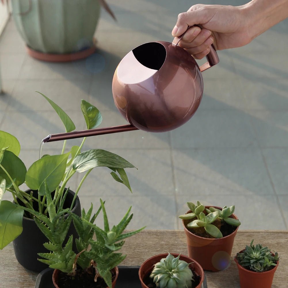 Stainless Steel Watering Can — 1500ml Minimalist Indoor Plant Care