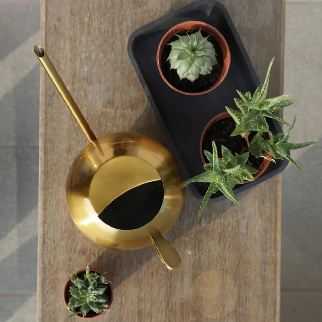 Stainless Steel Watering Can — 1500ml Minimalist Indoor Plant Care