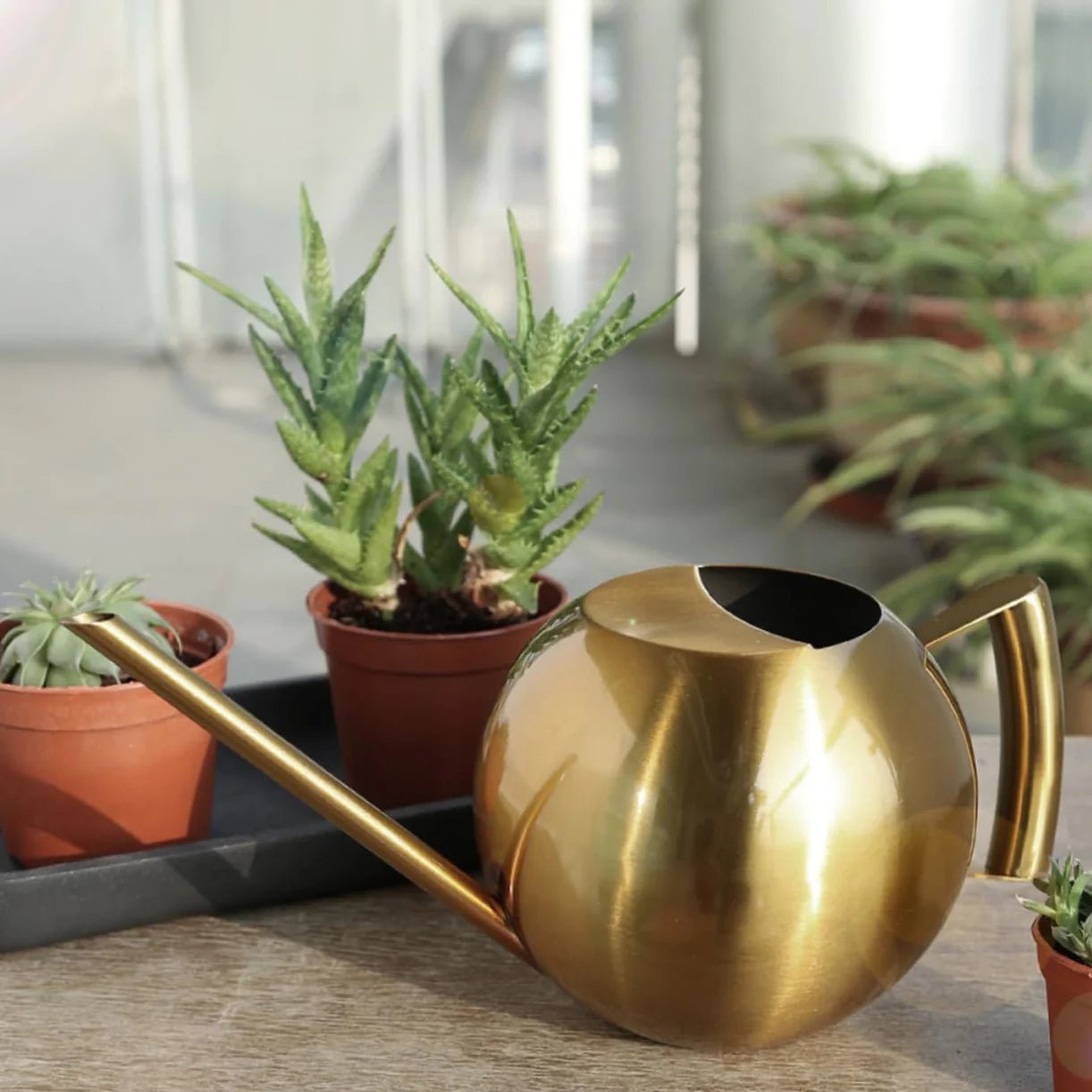 Stainless Steel Watering Can — 1500ml Minimalist Indoor Plant Care