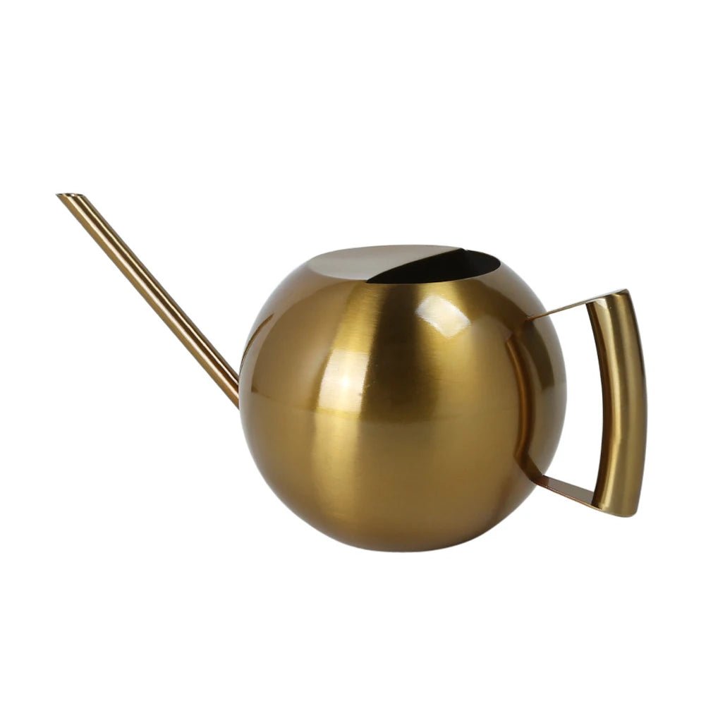 Stainless Steel Watering Can — 1500ml Minimalist Indoor Plant Care