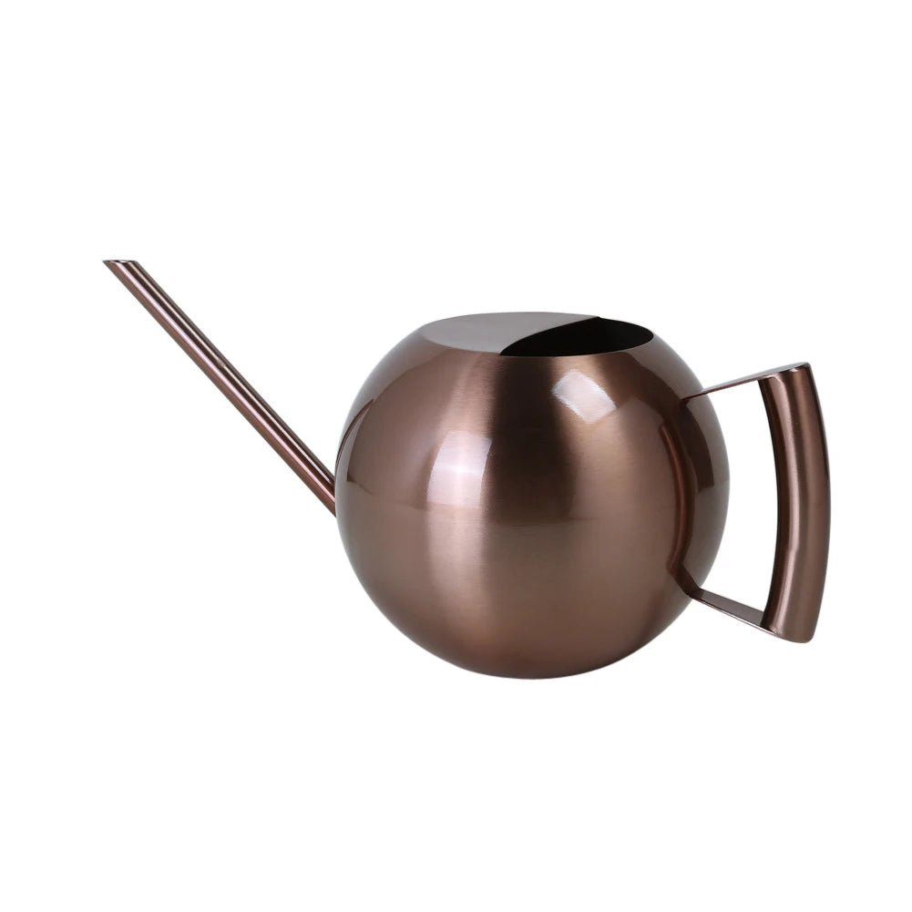 Stainless Steel Watering Can — 1500ml Minimalist Indoor Plant Care
