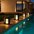 Solar Pathway Light with Remote — Stainless Steel LED, Dusk-to-Dawn, IP65