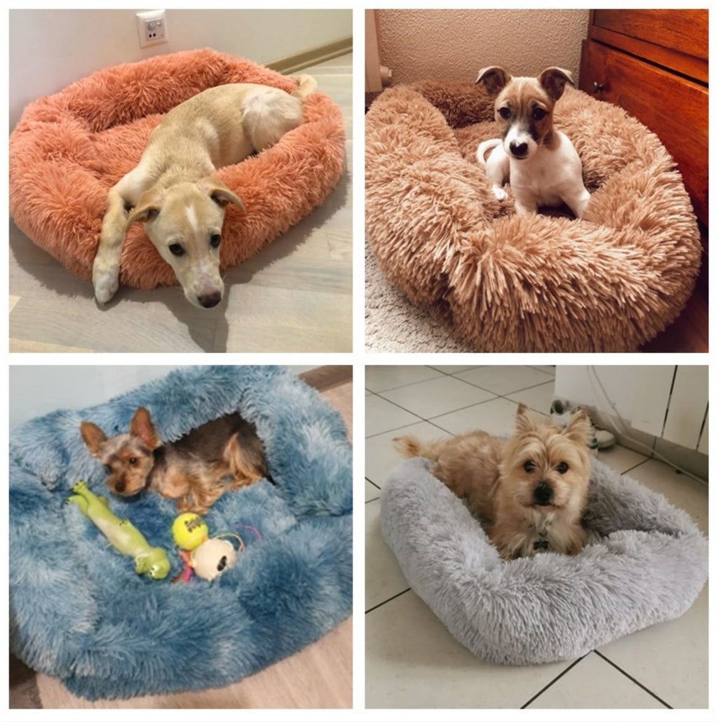 Plush Cotton-Filled Dog Bed — Cozy Enclosed Design with Nonslip Bottom, XS to Large