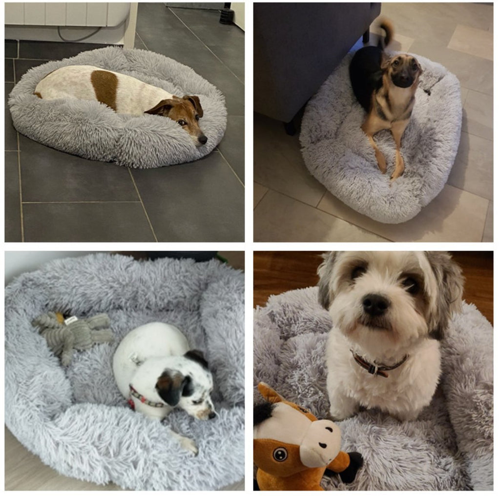 Plush Cotton-Filled Dog Bed — Cozy Enclosed Design with Nonslip Bottom, XS to Large