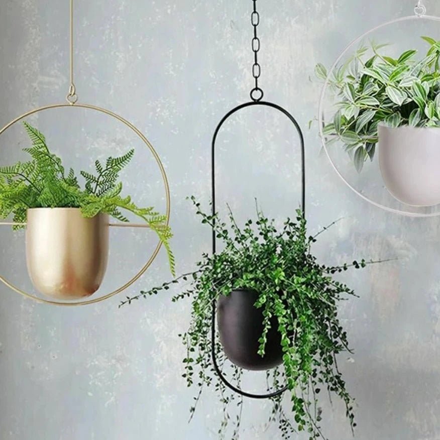 Halo Hanging Plant Pot — Anti-Rust Iron Ring Planter, No Drainage Hole, Indoor/Outdoor