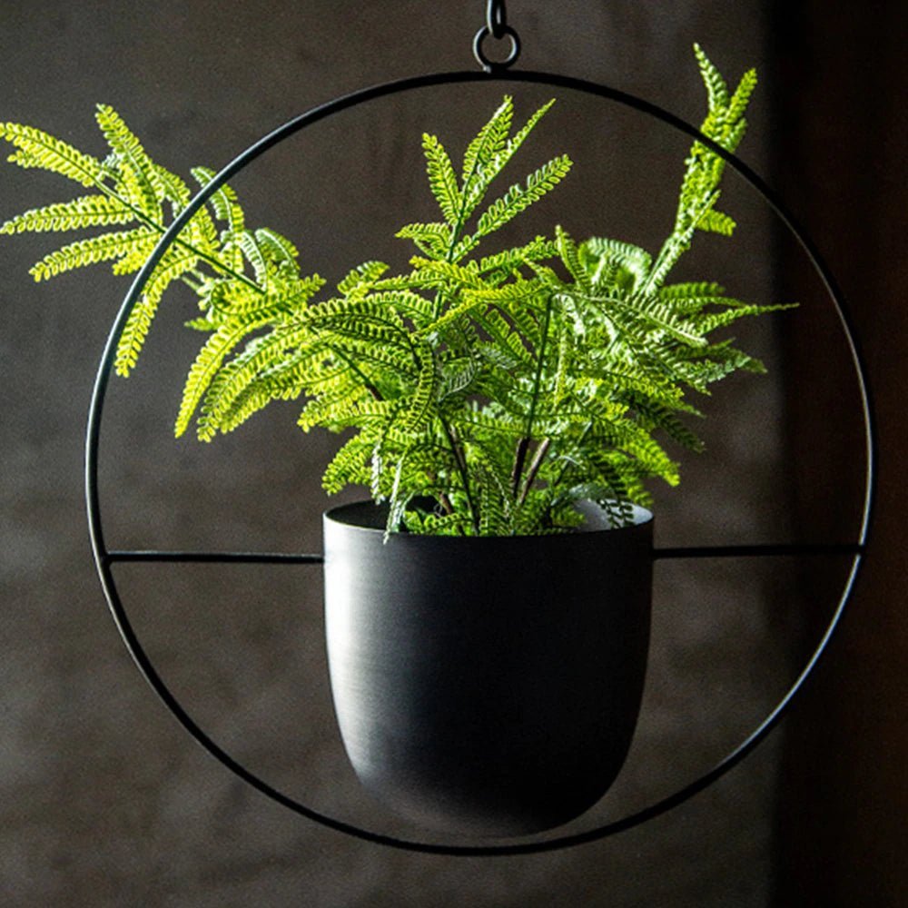Halo Hanging Plant Pot — Anti-Rust Iron Ring Planter, No Drainage Hole, Indoor/Outdoor