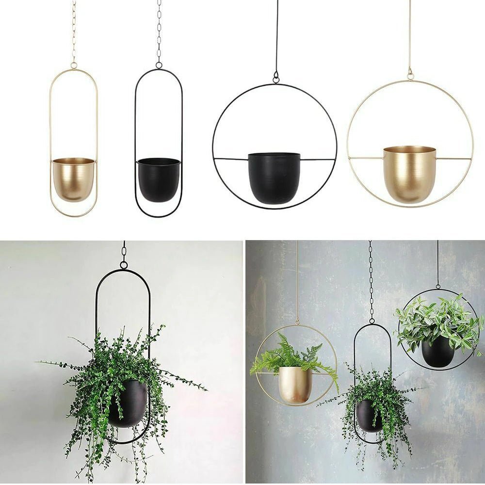 Halo Hanging Plant Pot — Anti-Rust Iron Ring Planter, No Drainage Hole, Indoor/Outdoor