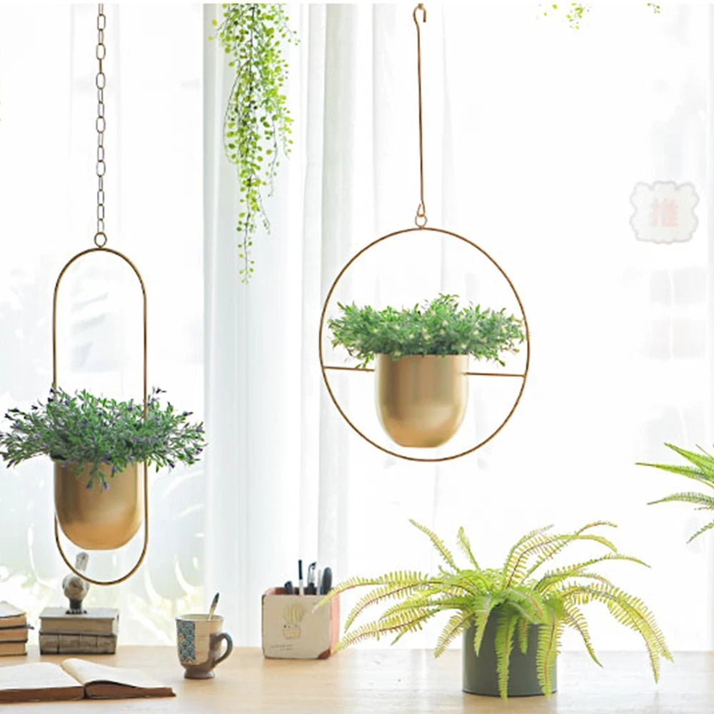 Halo Hanging Plant Pot — Anti-Rust Iron Ring Planter, No Drainage Hole, Indoor/Outdoor