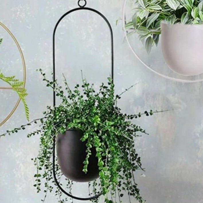 Halo Hanging Plant Pot — Anti-Rust Iron Ring Planter, No Drainage Hole, Indoor/Outdoor