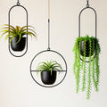 Halo Hanging Plant Pot — Anti-Rust Iron Ring Planter, No Drainage Hole, Indoor/Outdoor