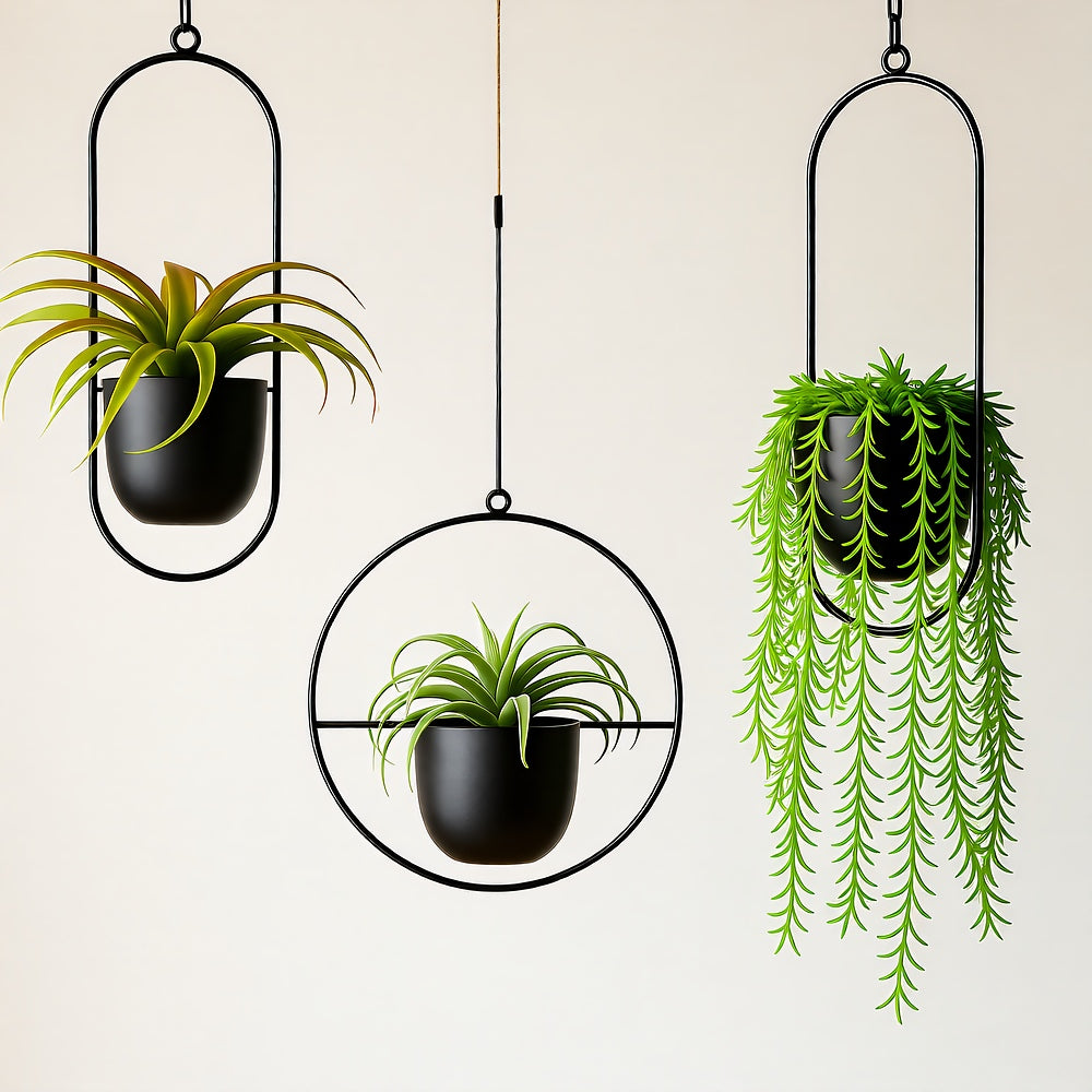 Halo Hanging Plant Pot — Anti-Rust Iron Ring Planter, No Drainage Hole, Indoor/Outdoor