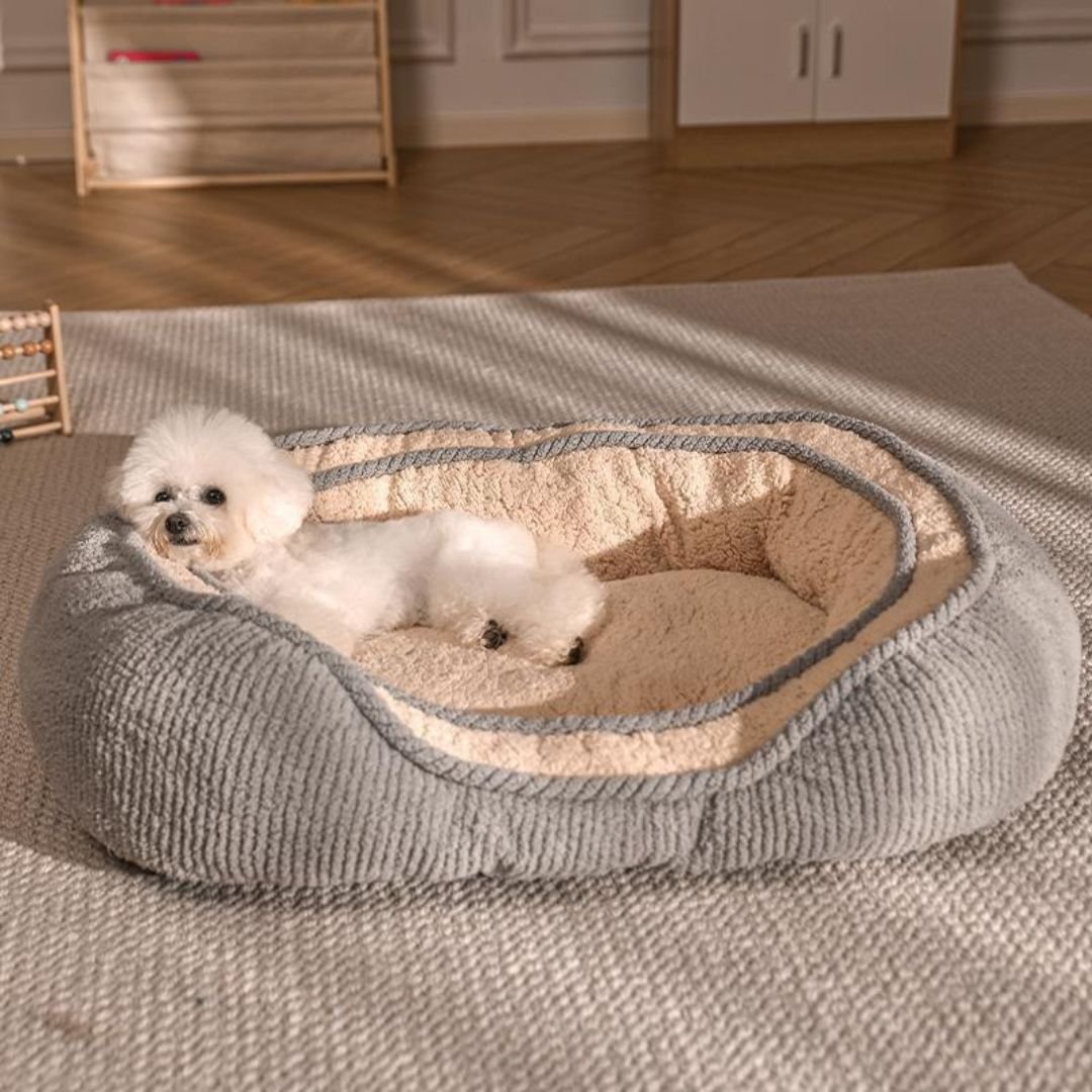 Luna Round Dog Bed — Breathable Fabric with Supportive Base, S–XL