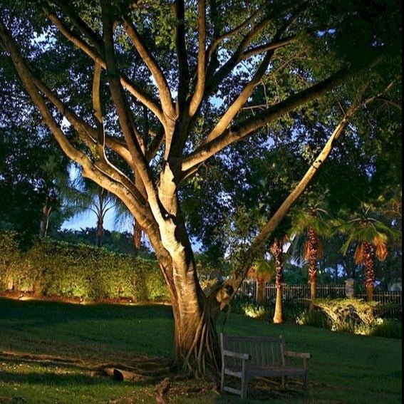 Solar Spotlights 5-Pack — Adjustable LED Landscape Lights, Dusk-to-Dawn, IP65, Ground Stakes