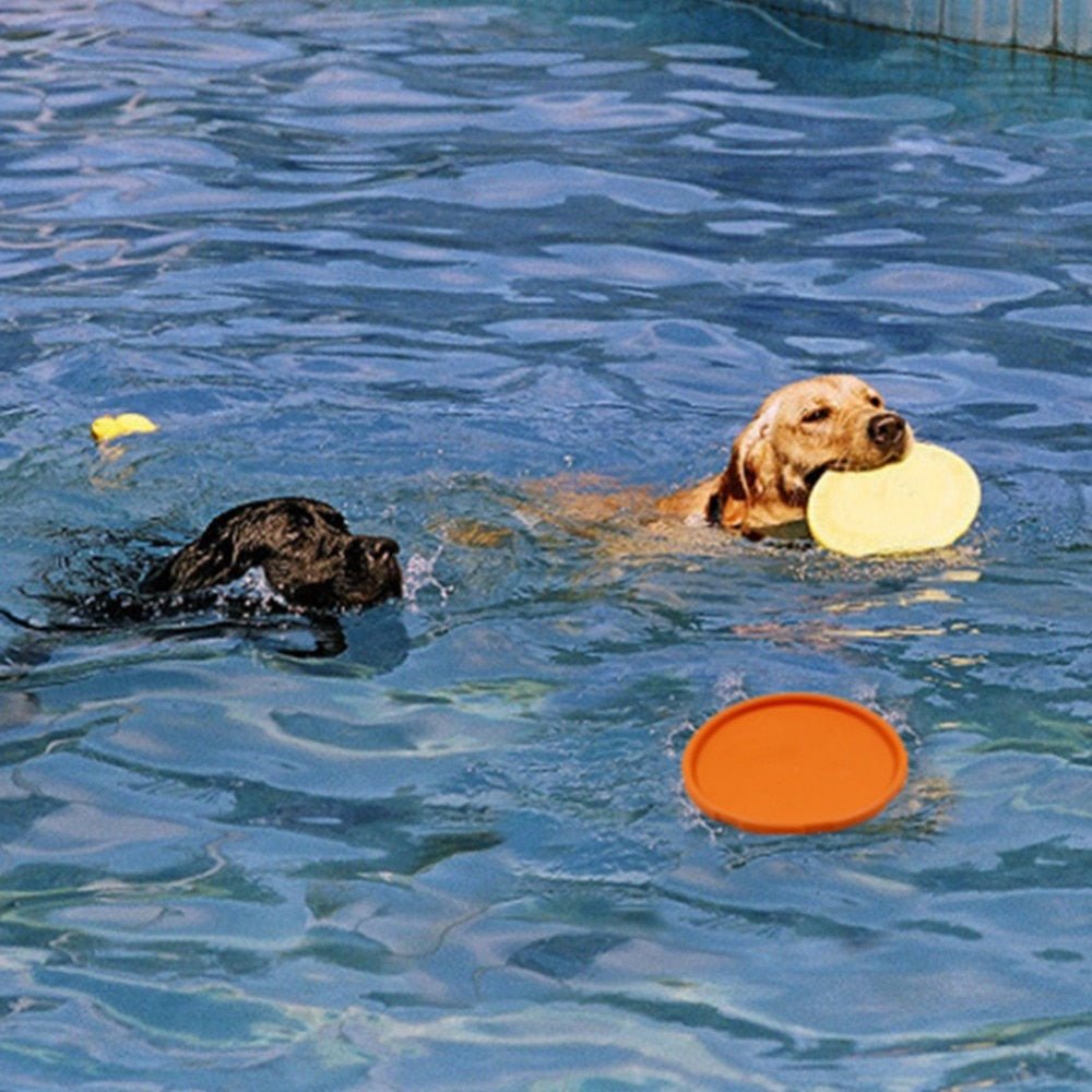 Natural Rubber Dog Flying Disc — Floating Fetch Toy for Land & Water Play