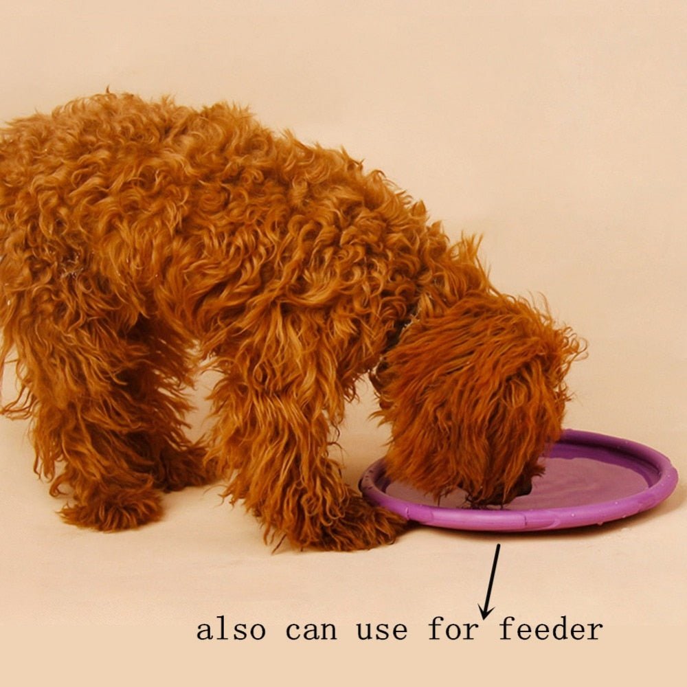 Natural Rubber Dog Flying Disc — Floating Fetch Toy for Land & Water Play