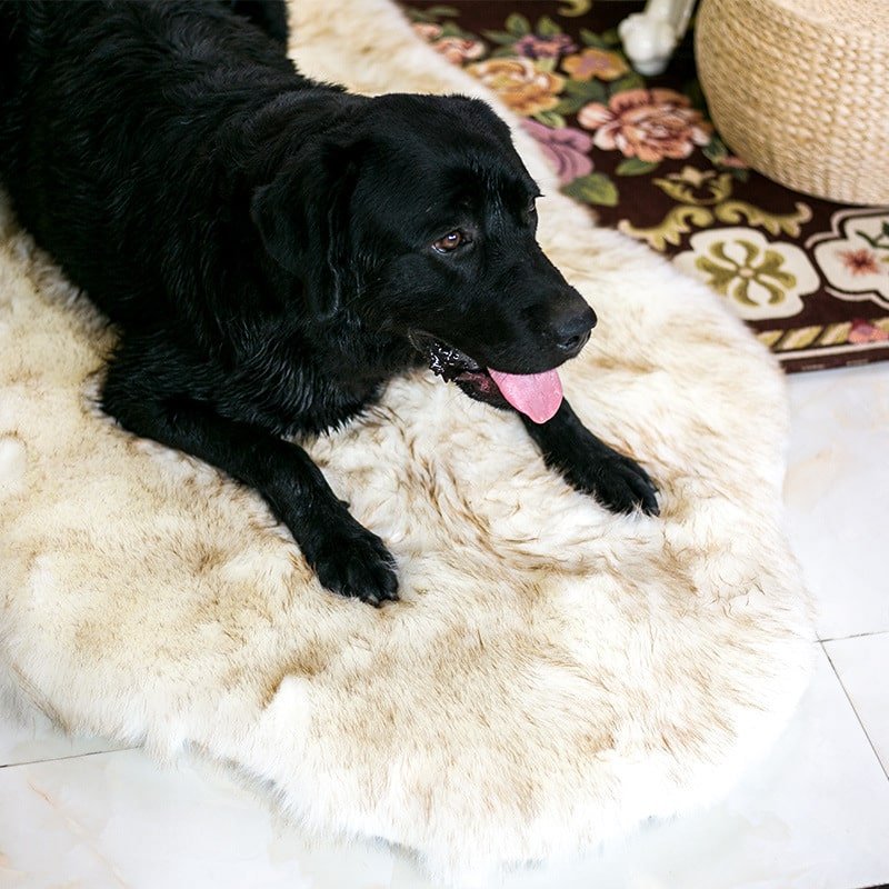 Faux Fur Dog Bed with Orthopedic Foam Base — Removable Washable Cover, Pet Lounger