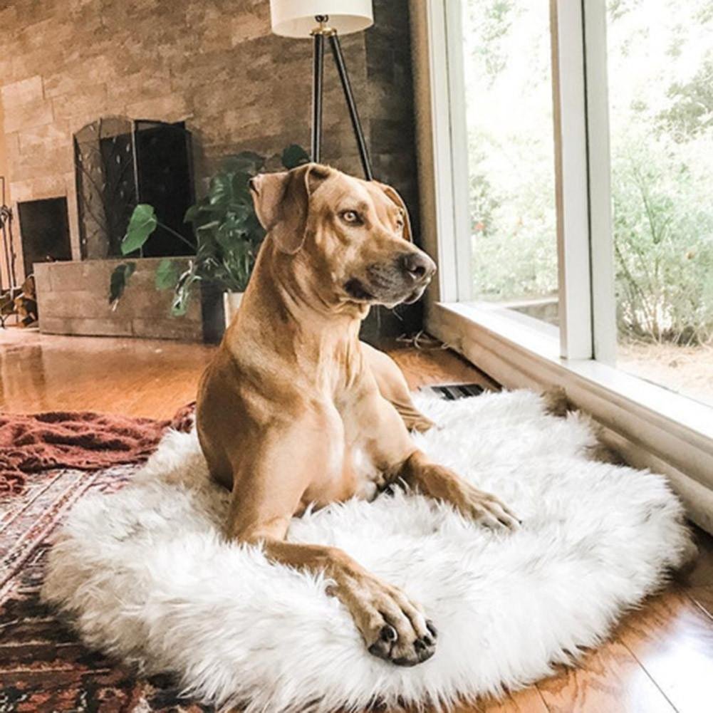 Faux Fur Dog Bed with Orthopedic Foam Base — Removable Washable Cover, Pet Lounger