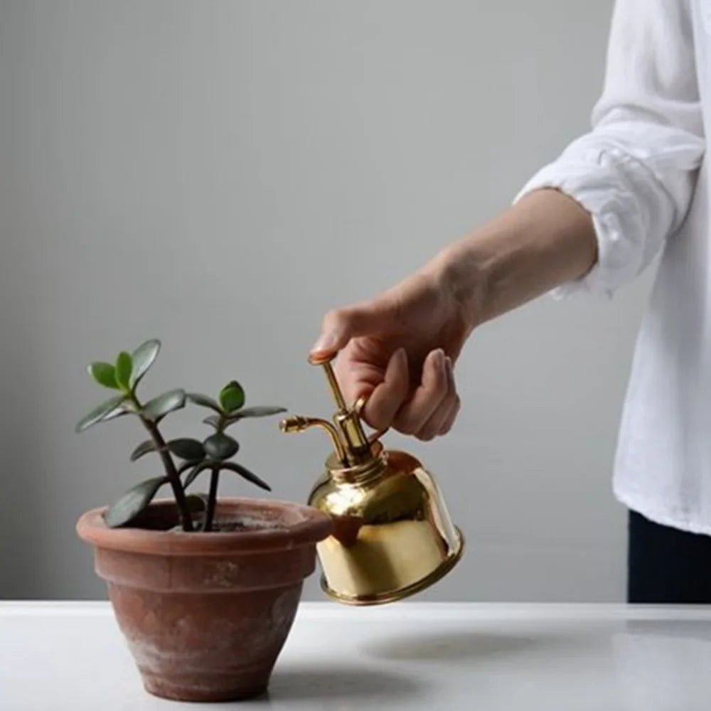 Brass Plant Mister — 6" Gold Spray Bottle with Fine Nozzle for Indoor Plants