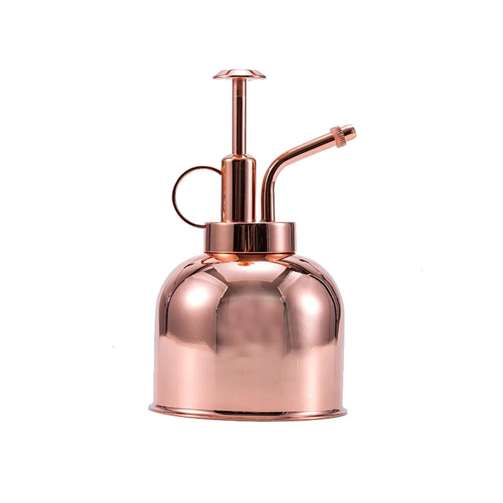 Brass Plant Mister — 6" Gold Spray Bottle with Fine Nozzle for Indoor Plants