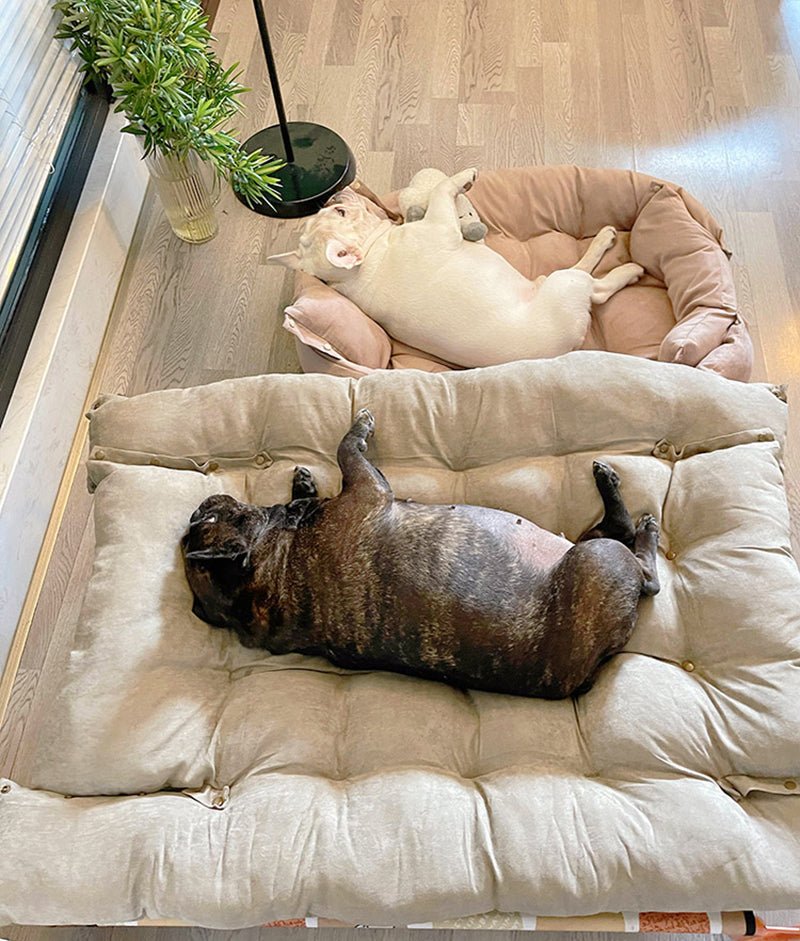 Adjustable Nest Dog Bed — 3-Layout Convertible, Soft Cotton Fill, Machine Washable & Dryer Safe