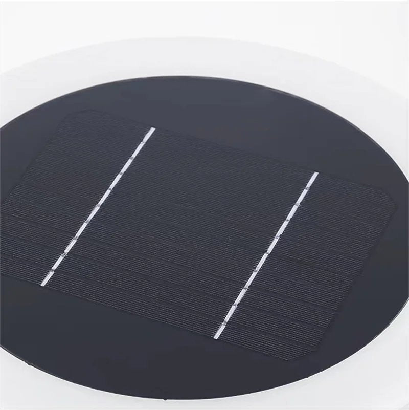 Solar Pathway Light — Stainless Steel LED with USB Backup Charging, Dusk-to-Dawn, IP65