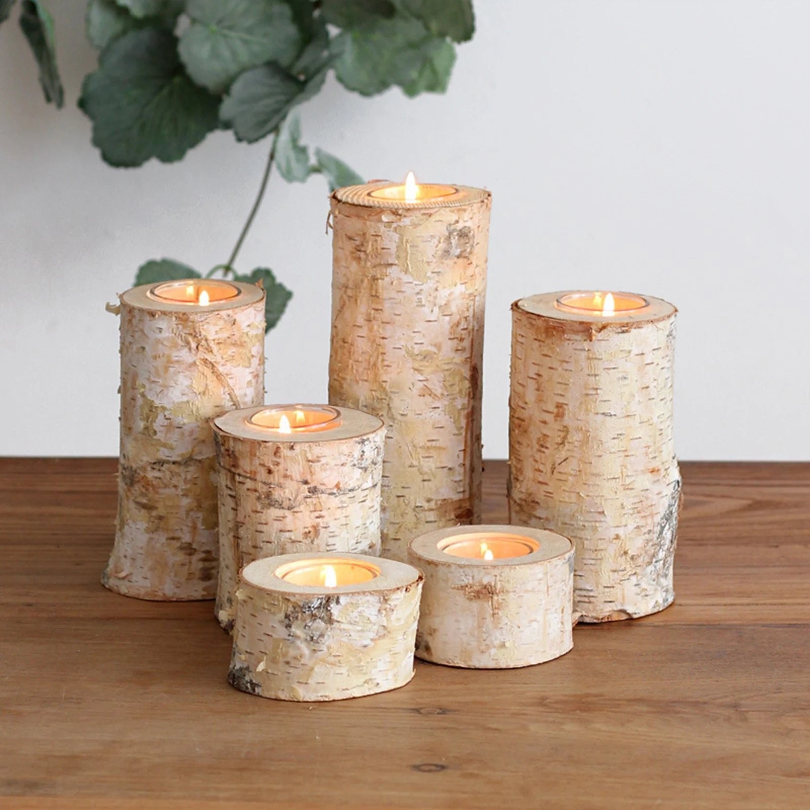 Birch Wood Candle Holder with Glass Insert — Rustic Natural Bark Table Decor, 2–8"