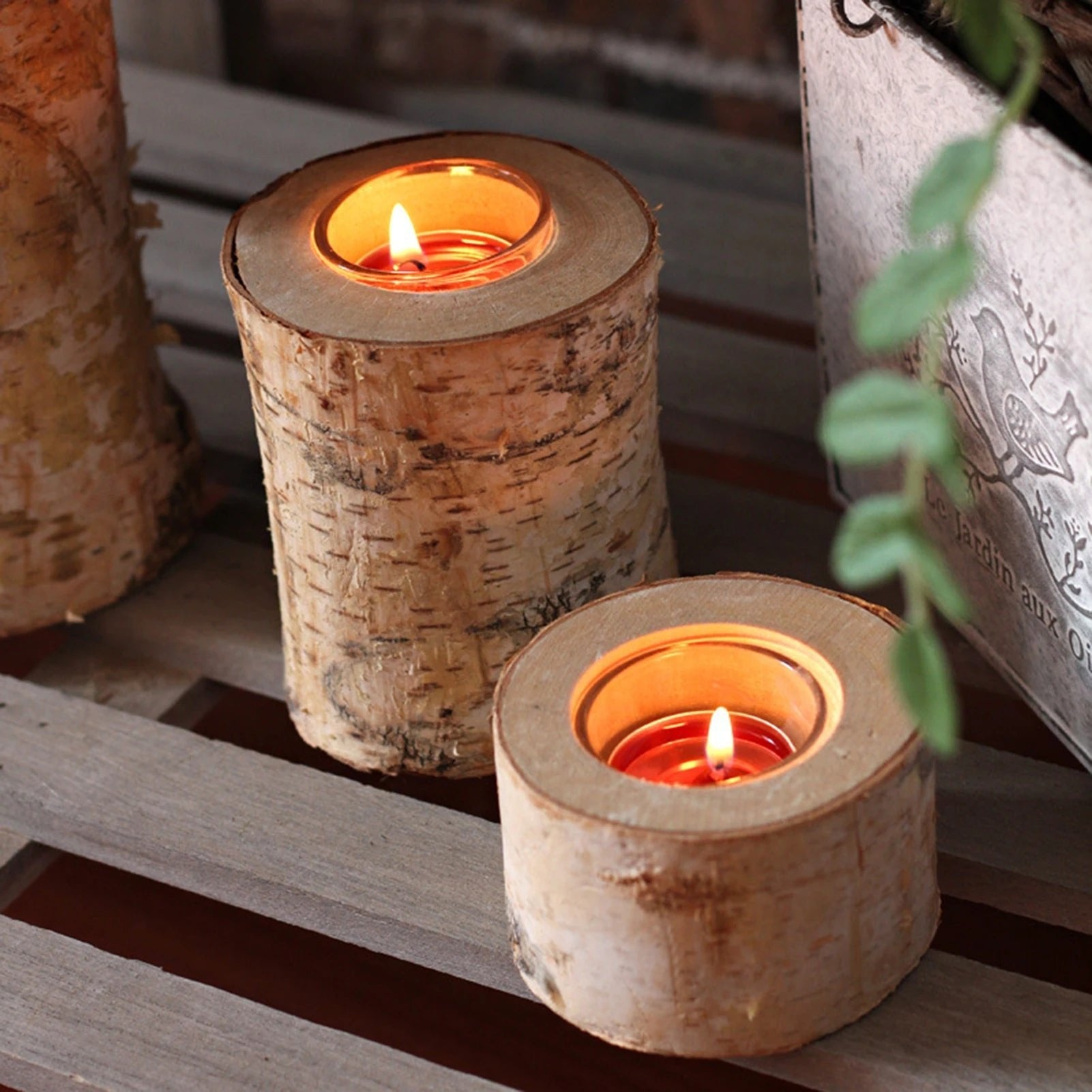 Birch Wood Candle Holder with Glass Insert — Rustic Natural Bark Table Decor, 2–8"