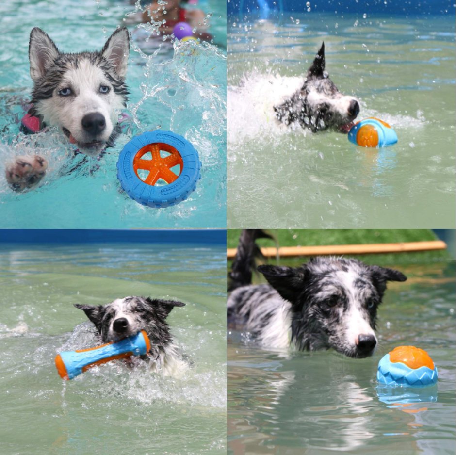 Interactive Dog Chew Toy — Natural Rubber Treat Dispenser with Teeth-Cleaning Texture